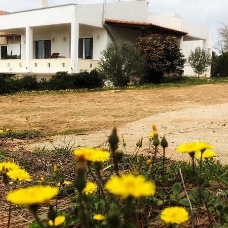 The Hillhouse Near Alexandroupolis Villa Eksteriør billede